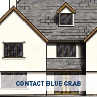 Contact Blue Crab